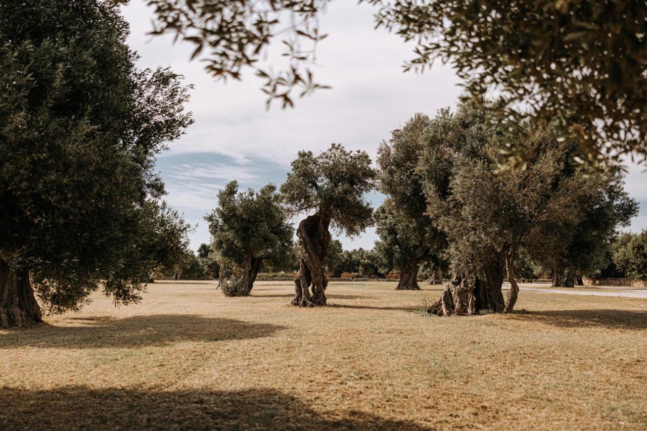 Masseria Garrappa Fasano Dış mekan fotoğraf