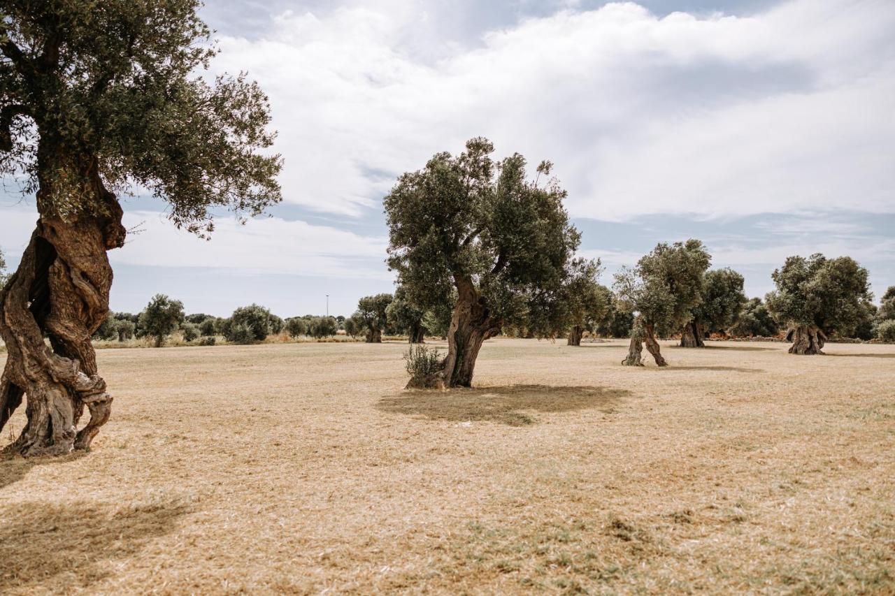 Masseria Garrappa Fasano Dış mekan fotoğraf