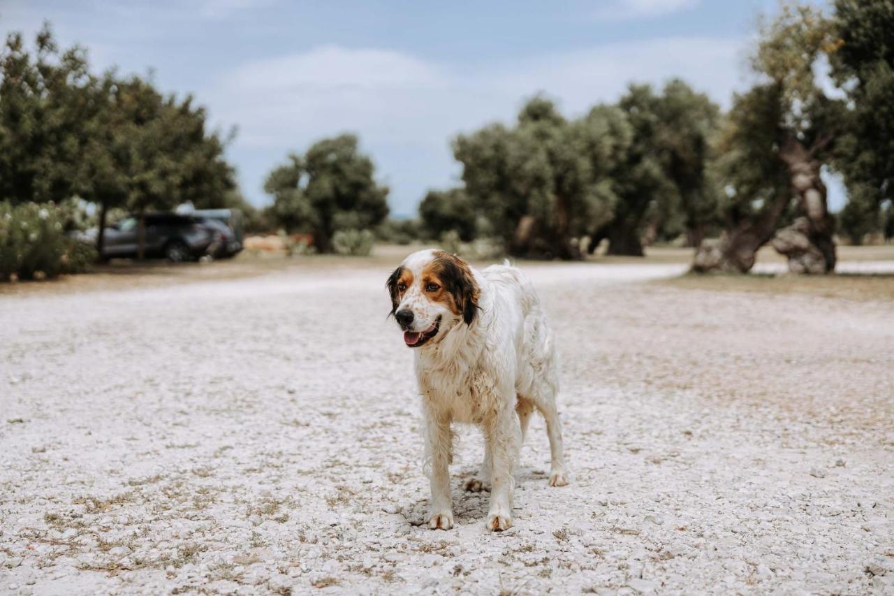 Masseria Garrappa Fasano Dış mekan fotoğraf